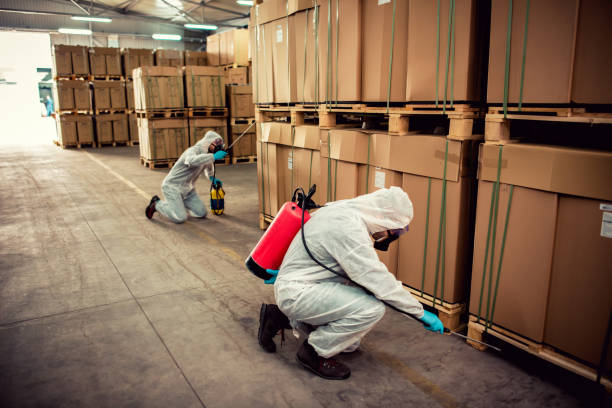 Best Flea Control Services  in Homer, LA