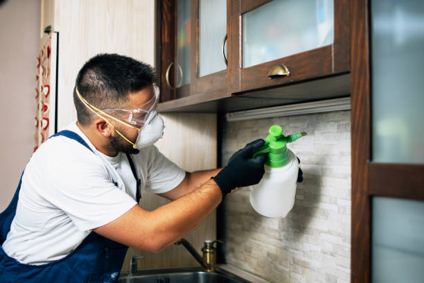 Trusted Homer, LA Pest Control Experts