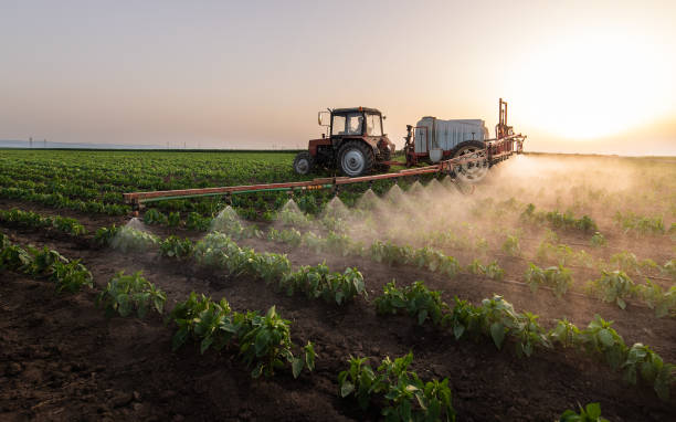Best Ant Control Services  in Homer, LA