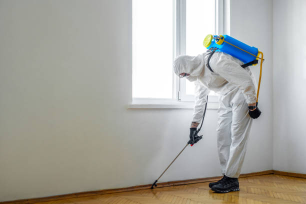 Flea Control Services in Homer, LA