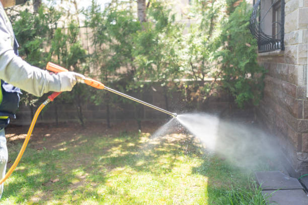 Best Cockroach Control Services  in Homer, LA