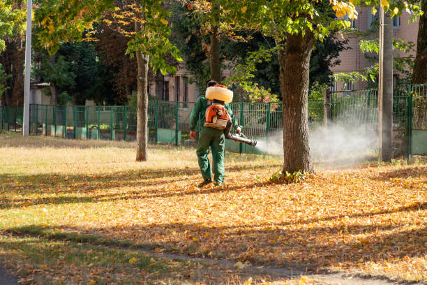 Best Affordable Pest Control Services  in Homer, LA