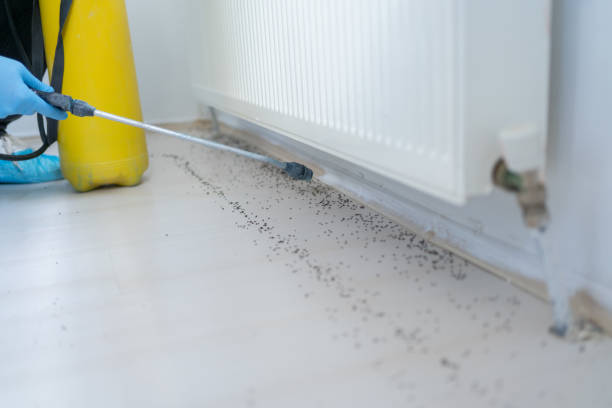 Best Commercial Pest Control Services  in Homer, LA