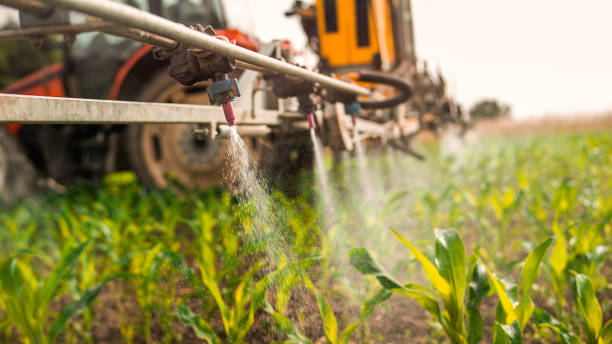 Best Best Pest Control Companies  in Homer, LA