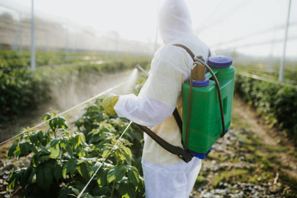 Best Mosquito Control Services  in Homer, LA